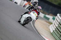White Bikes